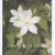 Catherine Mary Heenan